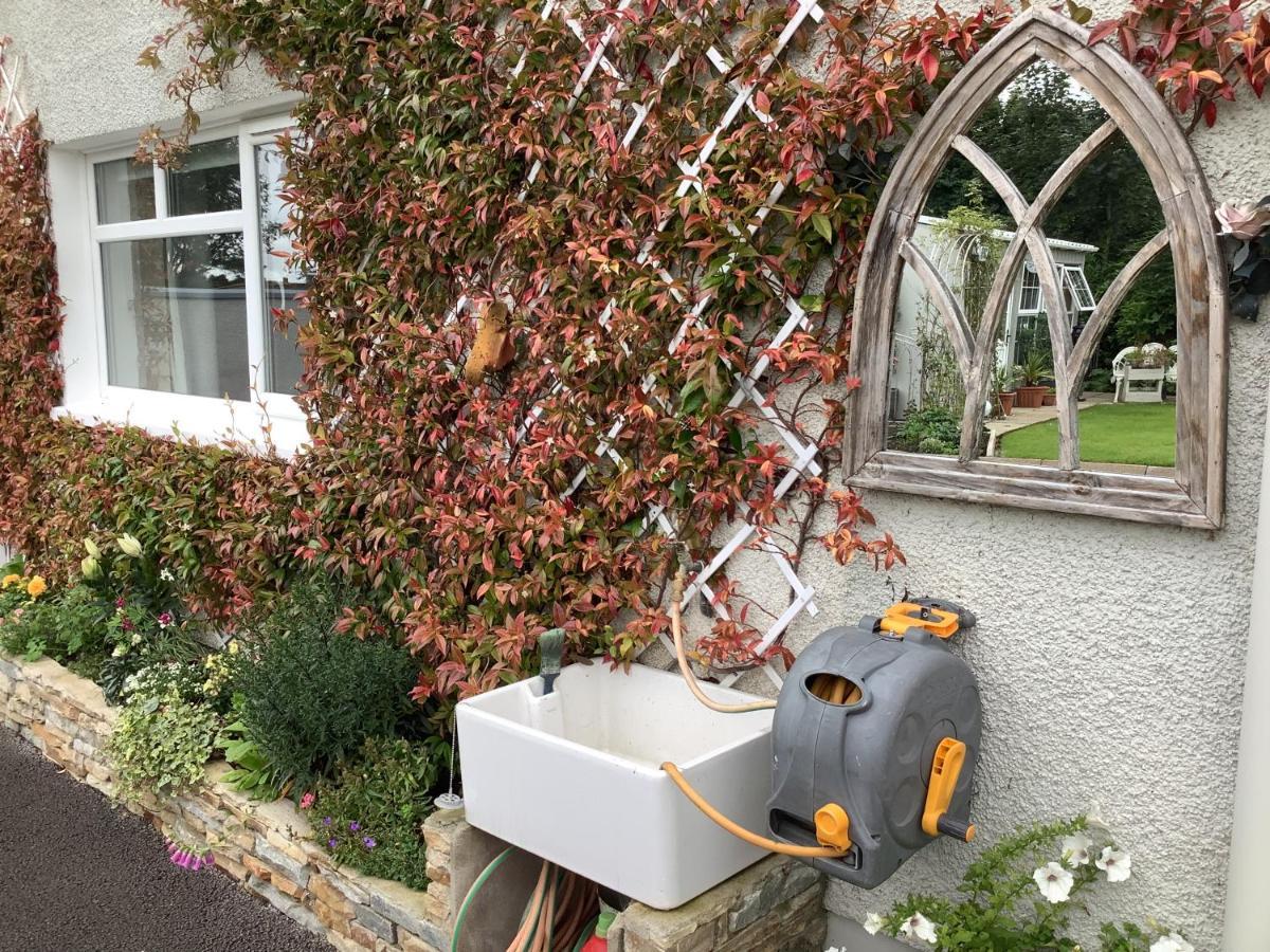 Laurel Cottage Ballymoney Esterno foto